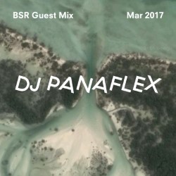 DJ Panaflex - Brother Sister Guest Mix