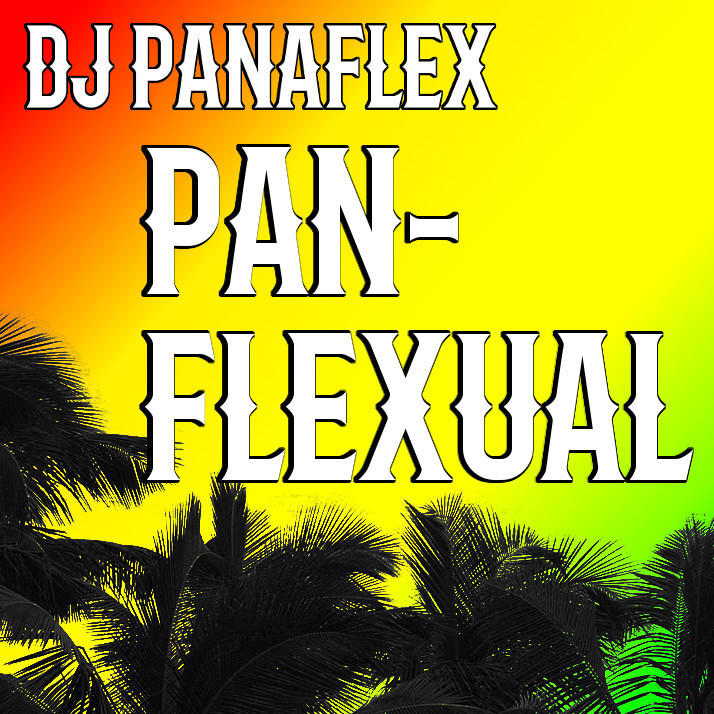 DJ Panaflex - Panflexual